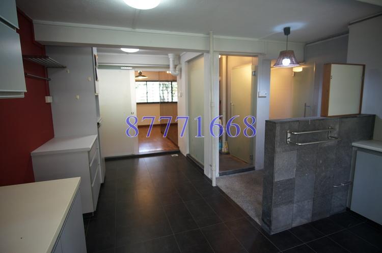 Blk 13 Holland Drive (Queenstown), HDB 4 Rooms #169202822